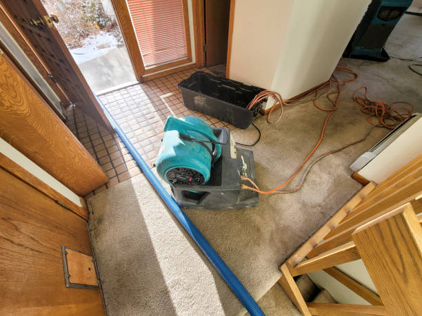 24/7 water damage repair in NY