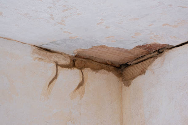  Richfield Springs, NY Water damage restoration Pros