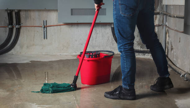 Best Flooded house restoration  in Richfield Springs, NY