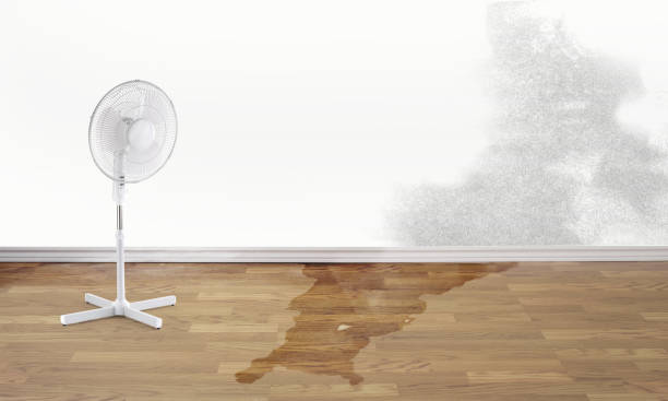 Best Residential water damage restoration  in Richfield Springs, NY