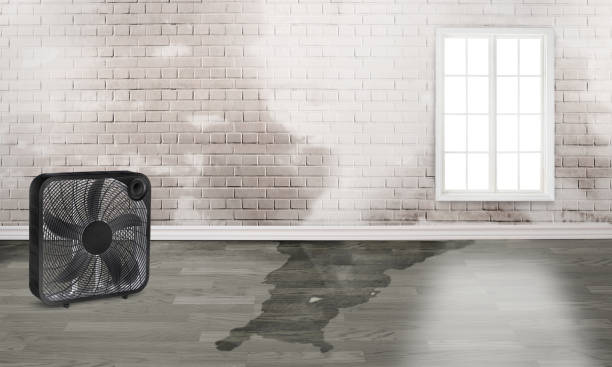 Best Sewage cleanup and water damage restoration  in Richfield Springs, NY
