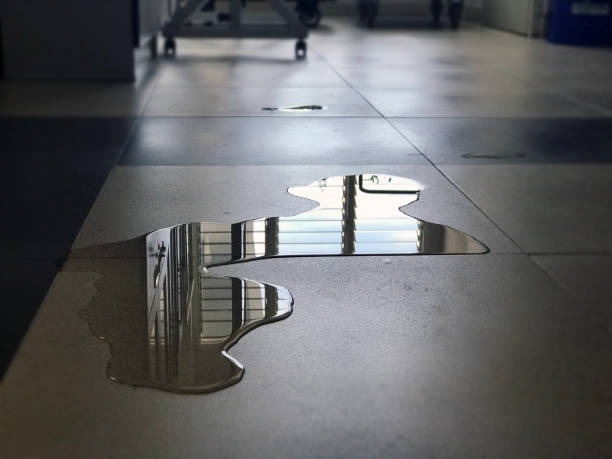 Best Water damage repair service  in Richfield Springs, NY
