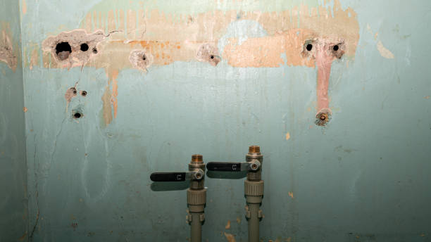 Best Water damage contractors near me  in Richfield Springs, NY