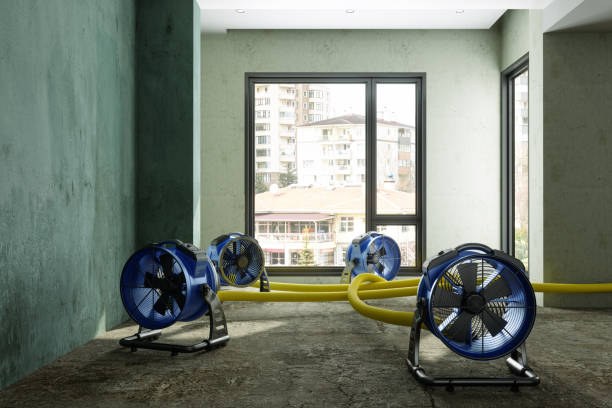 Best Water damage cleanup near me  in Richfield Springs, NY