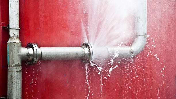 Best Mold removal after water damage  in Richfield Springs, NY
